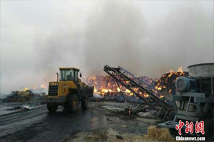 黑龍江望奎縣一發(fā)電公司儲料廠發(fā)生火災(zāi)